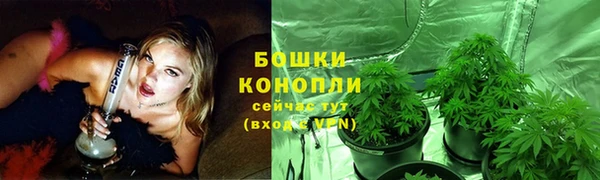 первитин Касимов