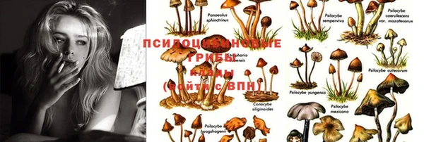 таблы Карталы