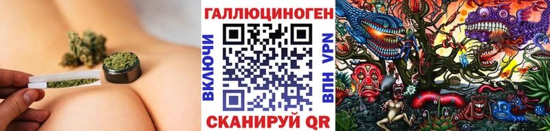 Купить закладки  Геленджик  Галлюциногенные грибы GOLDEN TEACHER 