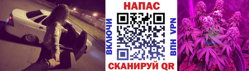 Купить где  Геленджик  Каннабис сатива 